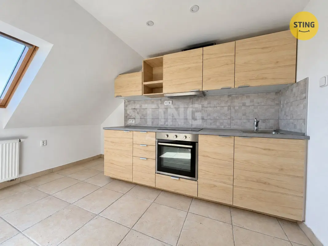 Pronájem bytu 1+1 42 m², Vítkovice · Ostrava
