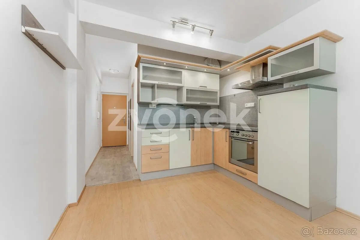 Pronájem bytu 1+kk 27 m², Jižní Svahy II · Zlín