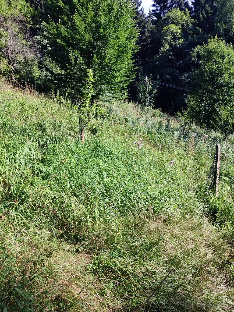 Pronájem pozemku 449 m², Vsetín