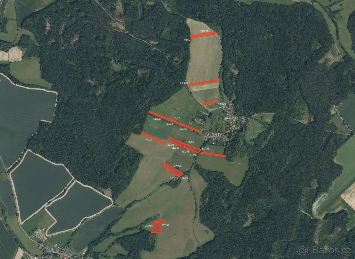 Prodej pozemku 17172 m², Kaliště u Červeného Poříčí · Švihov