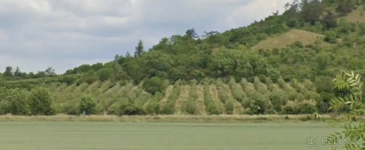 Prodej pozemku 3900 m², Litoměřice · 411 15