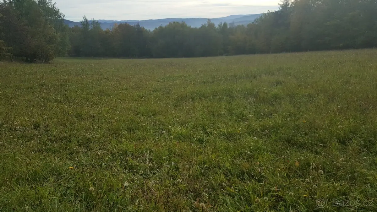 Prodej pozemku 5800 m², Prachatice · 383 01