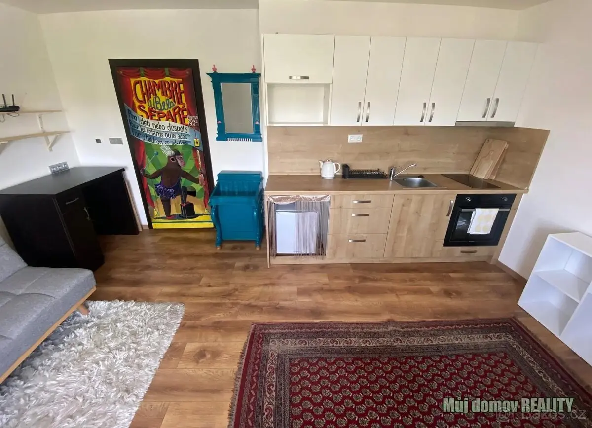 Pronájem bytu 1+kk 30 m², Suchdol