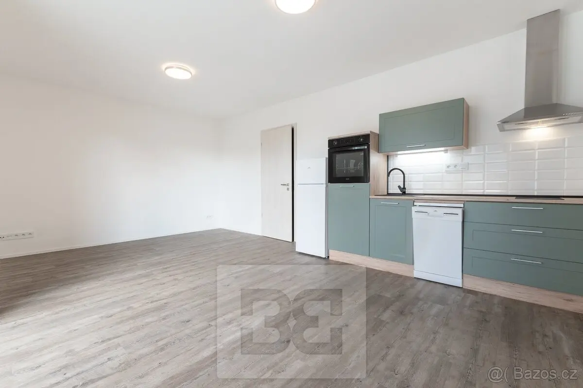 Pronájem bytu 1+kk 37 m², Skvrňany · Plzeň