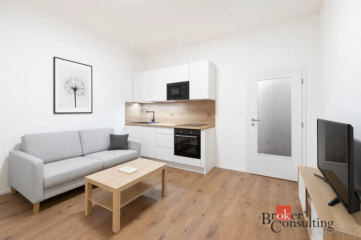 Pronájem bytu 1+kk 22 m², Moravská Ostrava · Ostrava