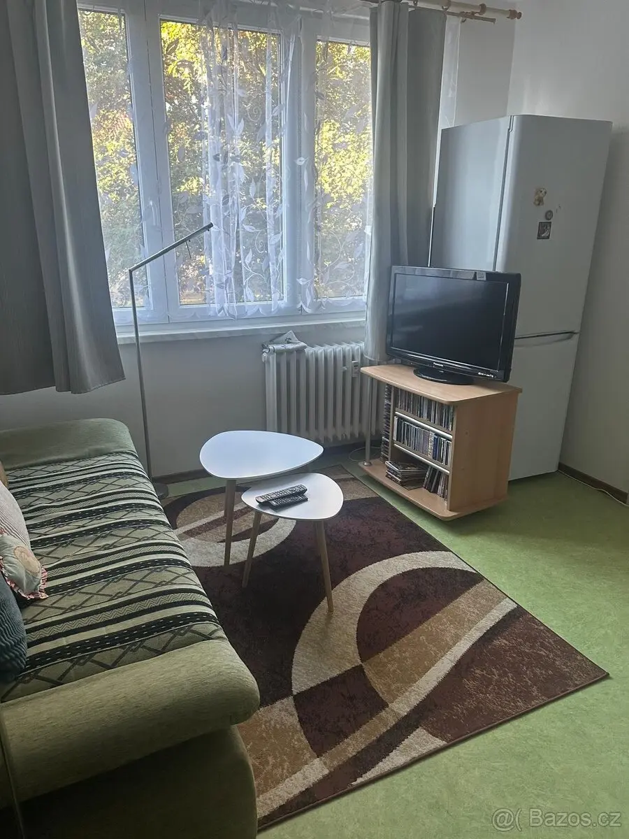Pronájem bytu 1+1 38 m², České Budějovice · 370 01