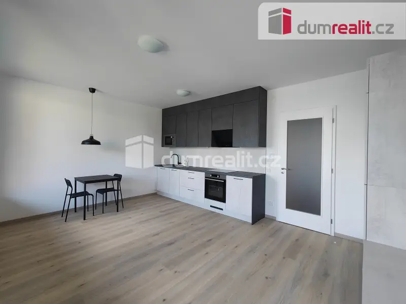 Pronájem bytu 1+kk 39 m², Olgy Havlové · Žižkov