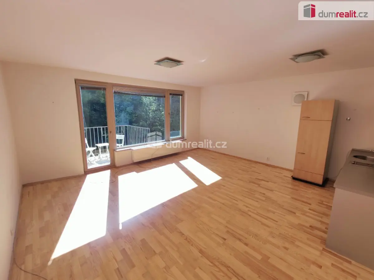 Pronájem bytu 1+kk 48 m², Jeseniova · Žižkov