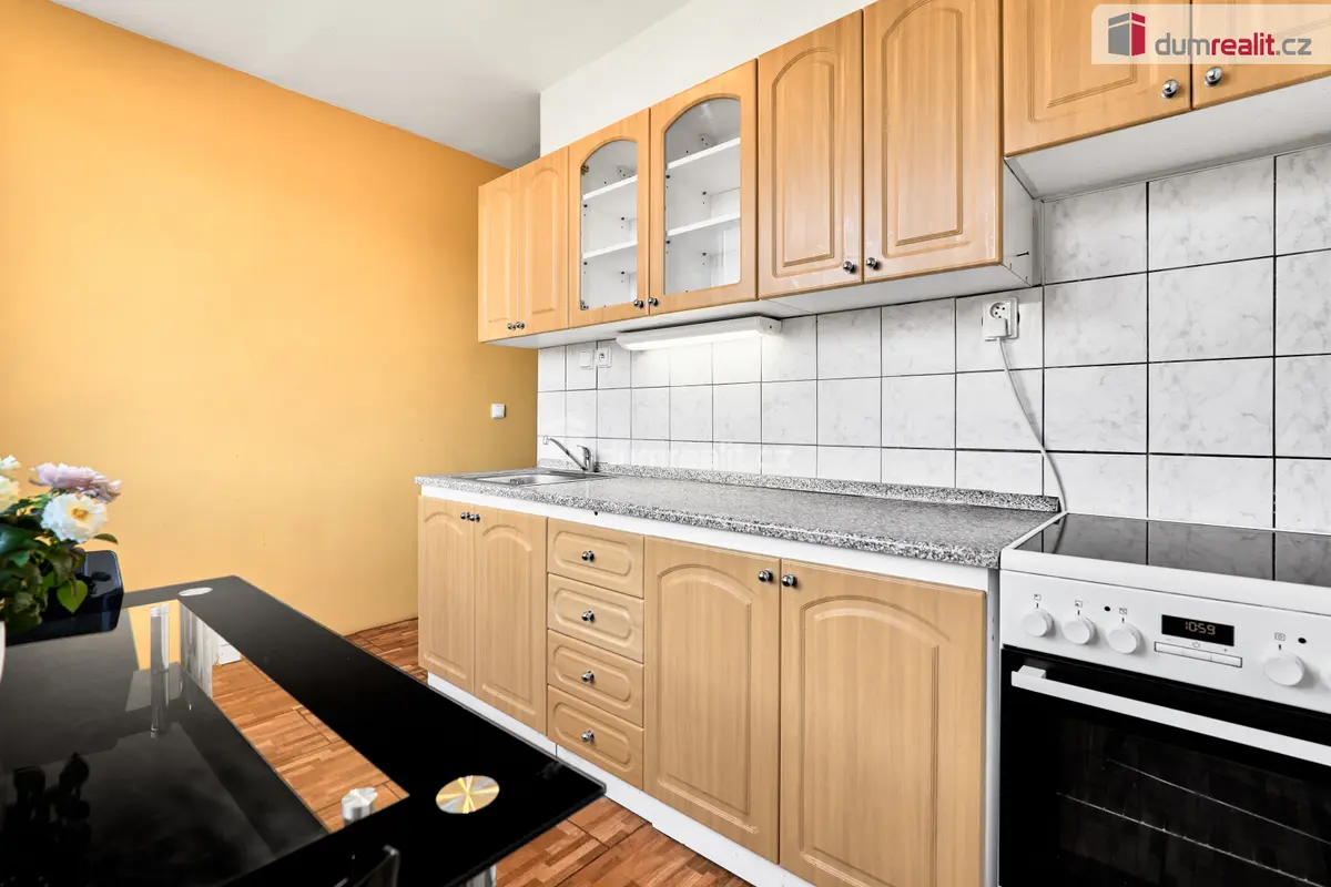 Prodej bytu 2+1 66 m², Truhlářova · Střekov · Ústí nad Labem