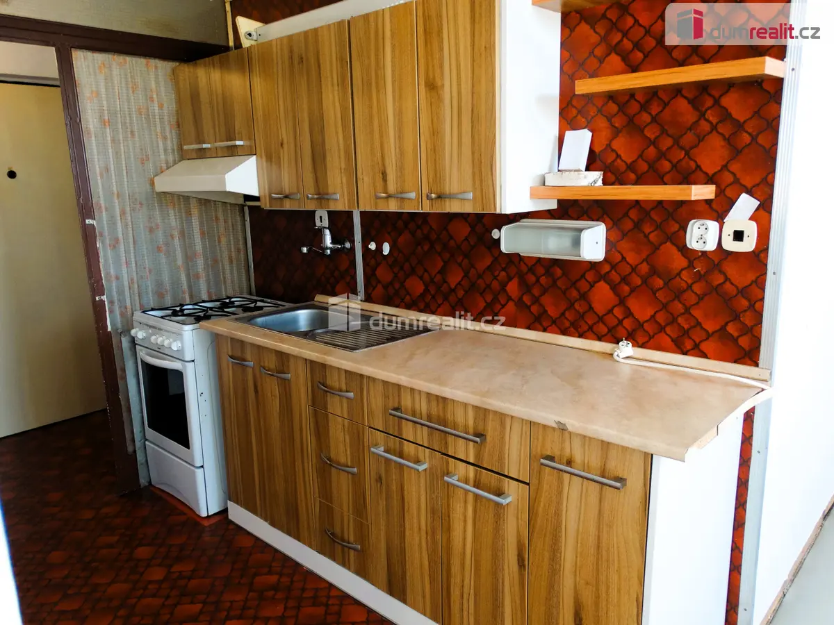 Prodej bytu 1+1 41 m², Závodní · Hluk
