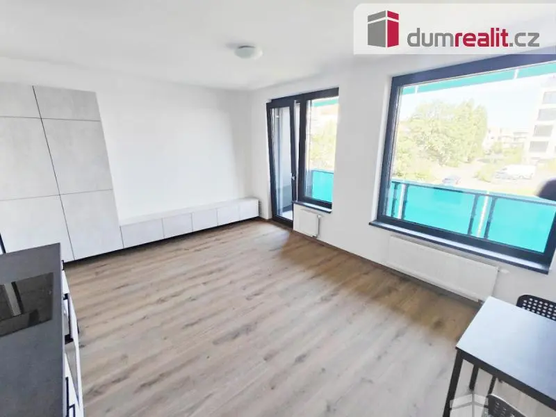 Pronájem bytu 1+kk 39 m², Olgy Havlové · Žižkov