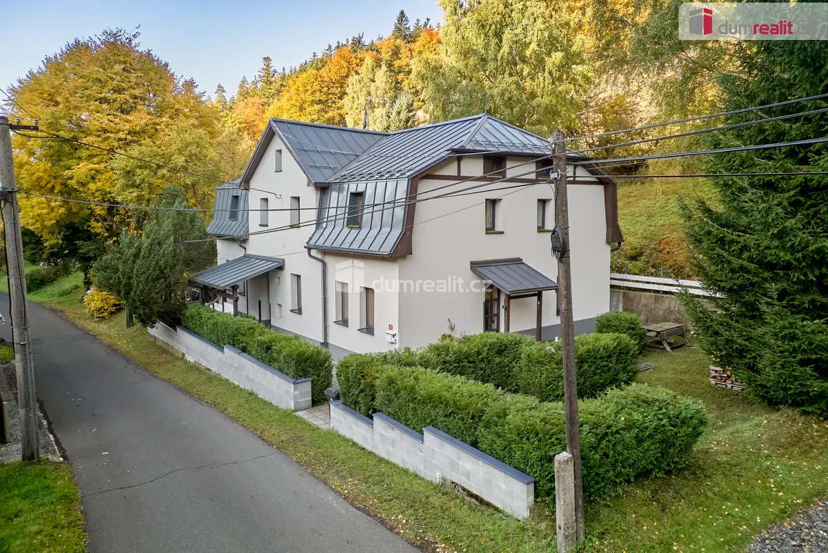 Prodej komerčního prostoru 400 m², Jáchymov