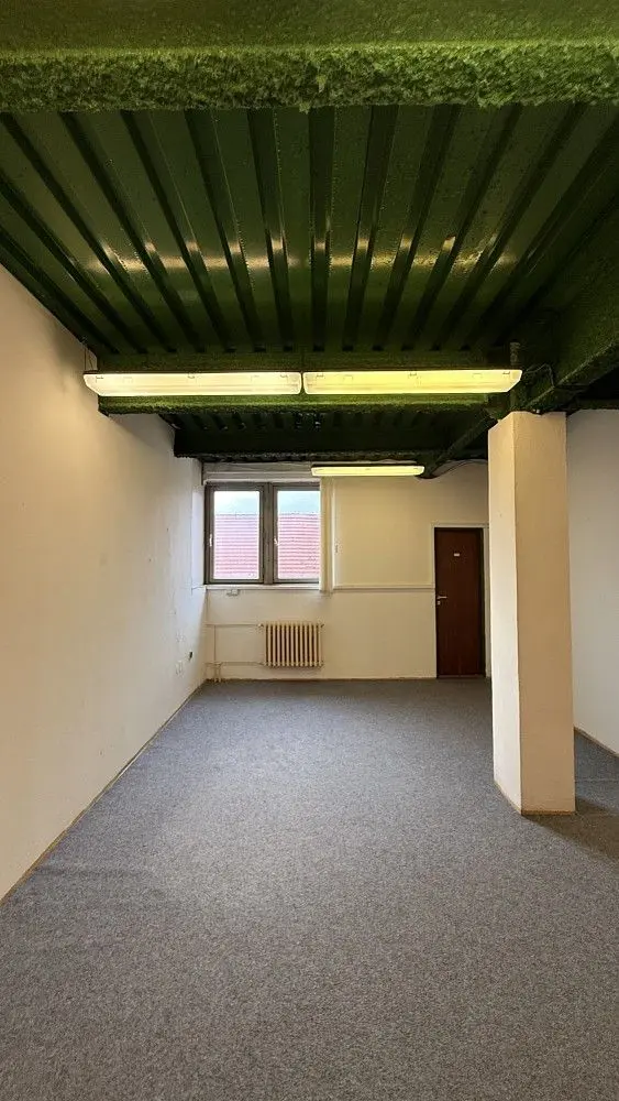 Pronájem komerčního prostoru 127 m², Fričova · Slaný