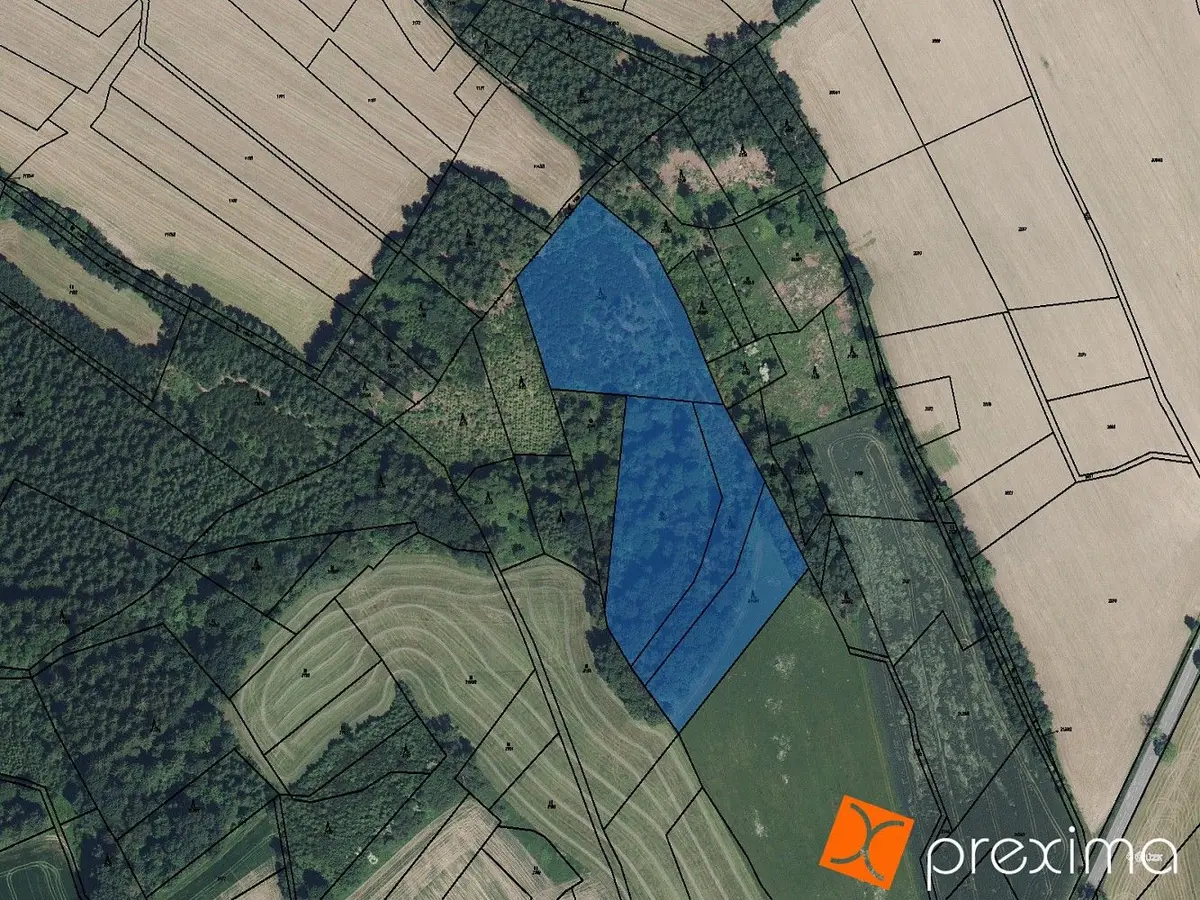 Prodej pozemku 2496 m², Roprachtice
