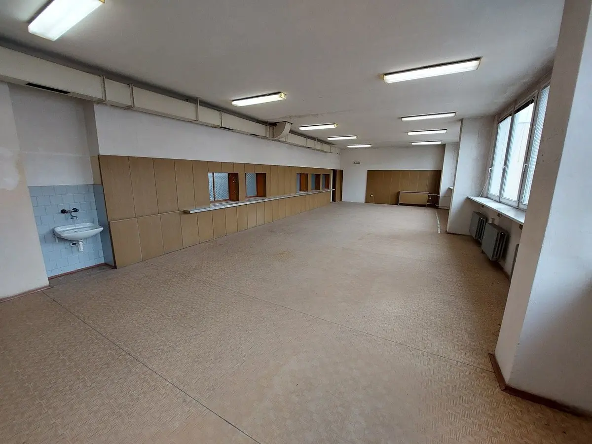 Pronájem komerčního prostoru 101 m², Palánek · Vyškov