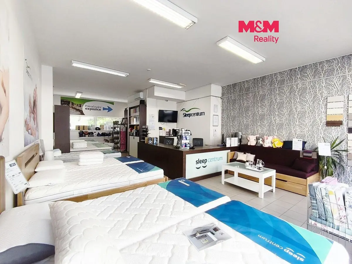 Pronájem komerčního prostoru 172 m², Drahobejlova · Libeň