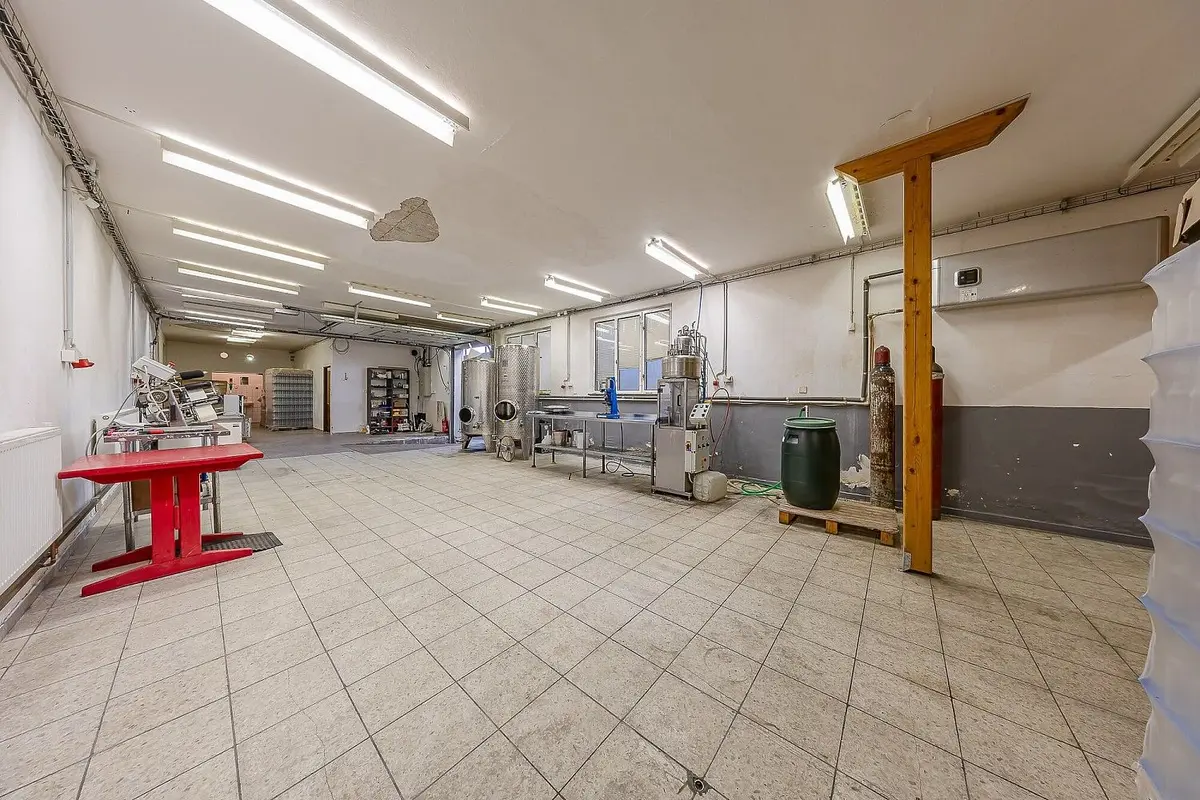 Prodej komerčního prostoru 373 m², Šardice