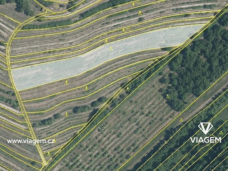 Prodej pozemku 4619 m², Lovčičky