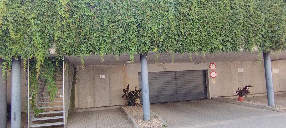 Pronájem nemovitosti 13 m², Stromovka · Havlíčkův Brod