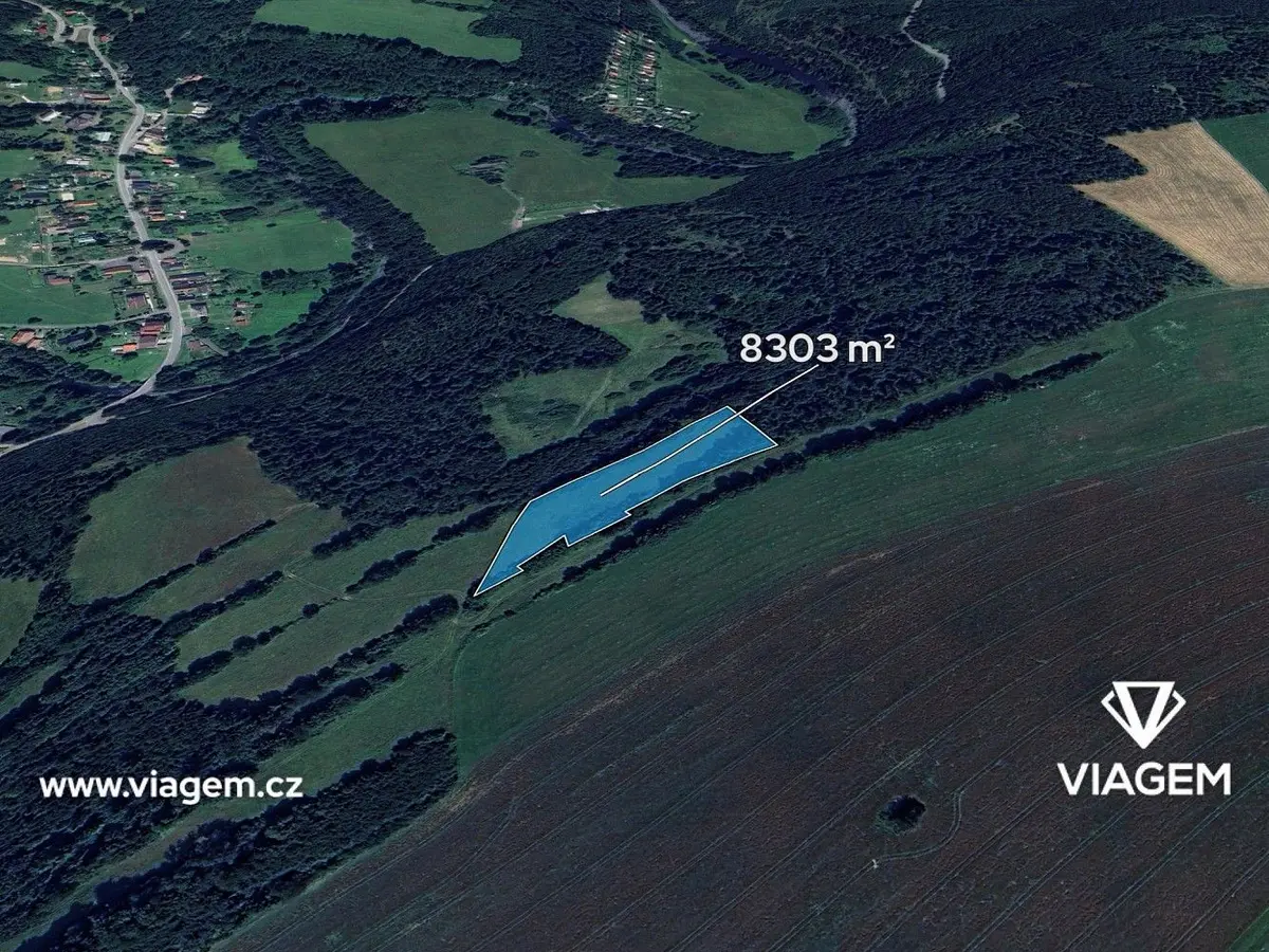Prodej pozemku 4151 m², Staré Těchanovice