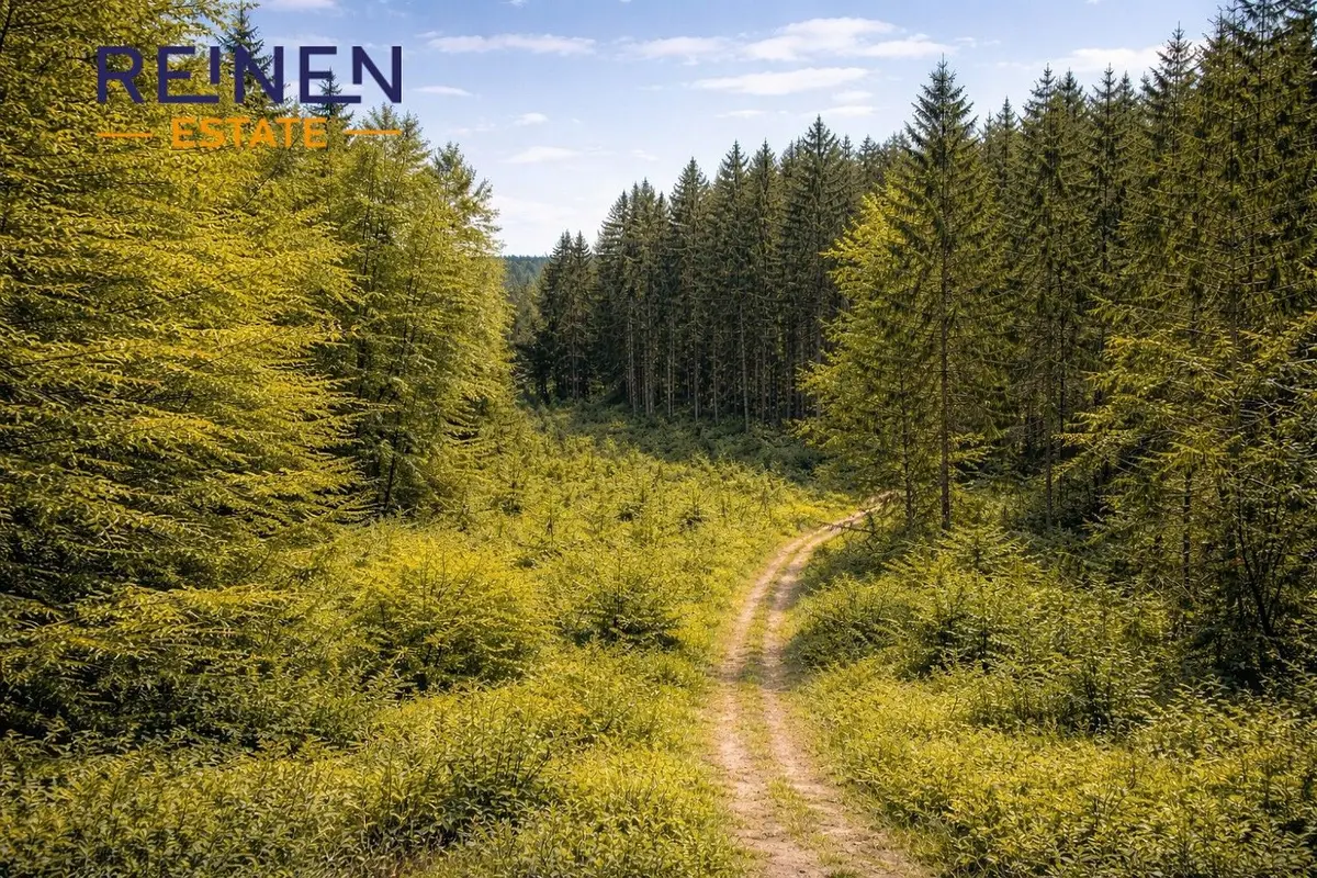 Prodej pozemku 57952 m², náměstí 3. května · Železný Brod