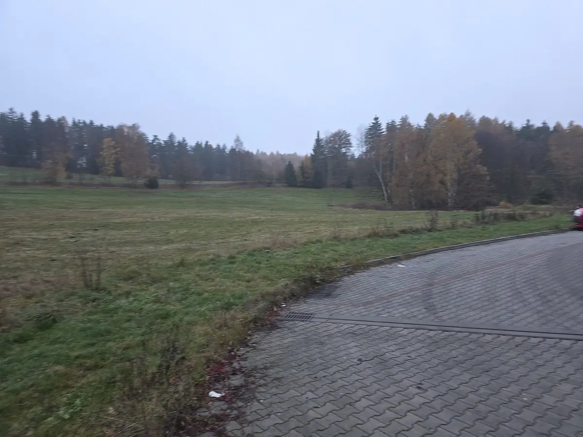 Prodej pozemku 6229 m², Mezirolí · Nová Role