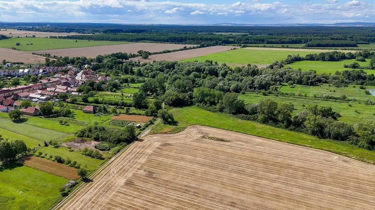 Prodej pozemku 3356 m², Petrov u Hodonína · Petrov