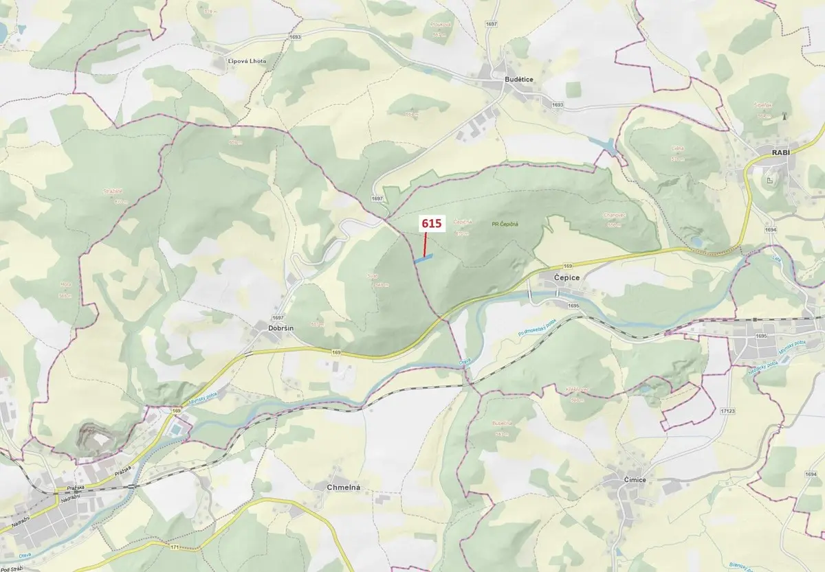 Prodej pozemku 4478 m², Čepice · Rabí
