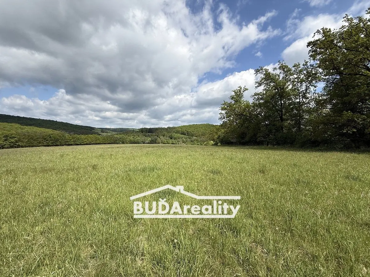Prodej pozemku 15000 m², Bojkovice