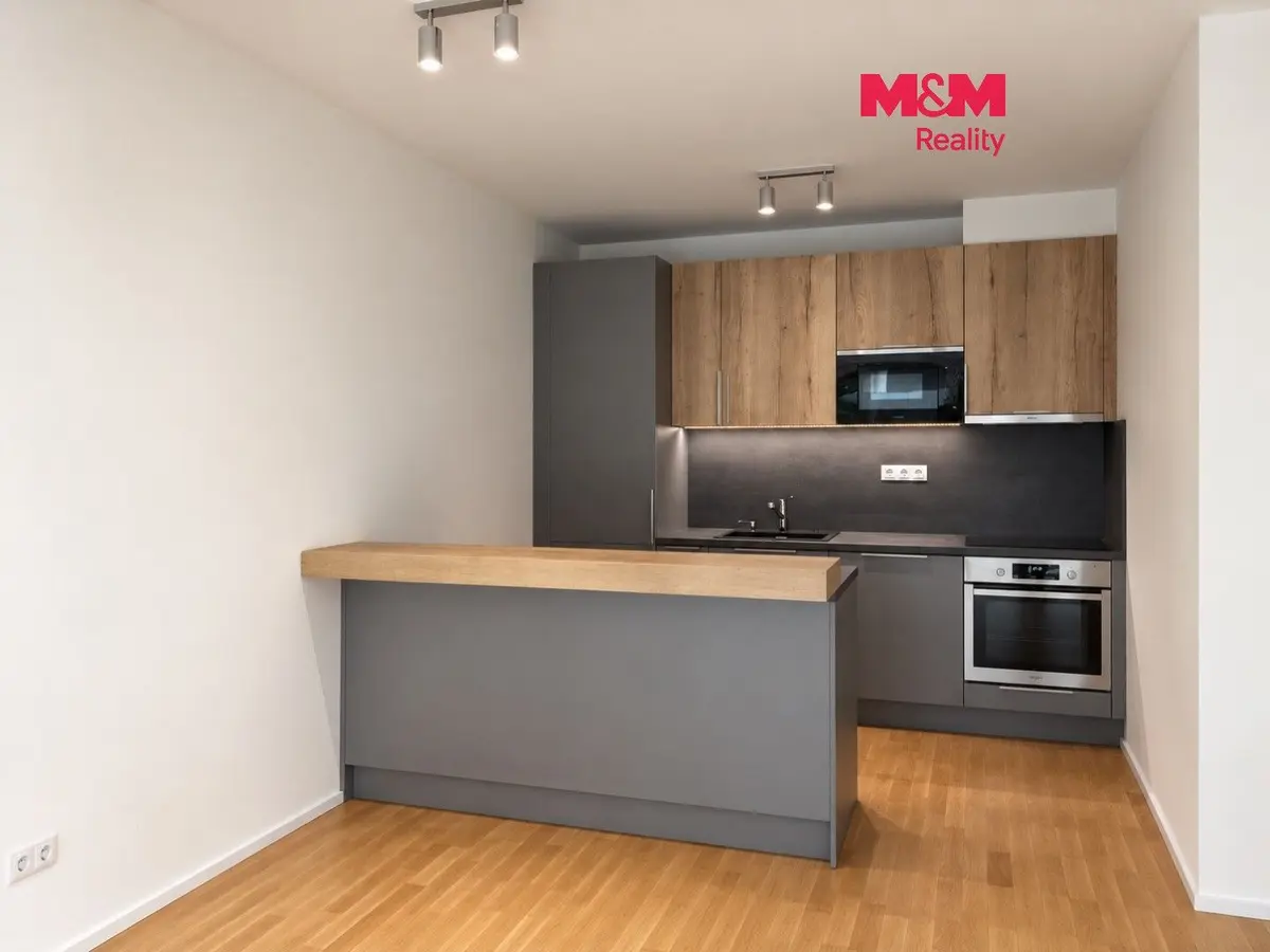 Pronájem bytu 3+kk 70 m², U Viktorie · Žižkov