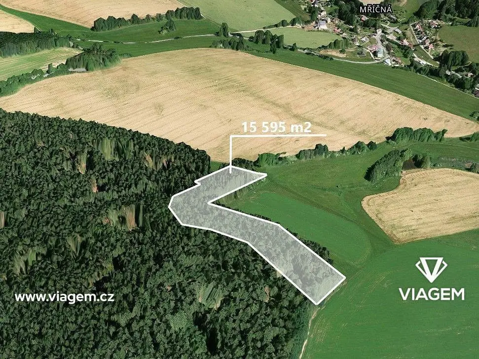 Prodej pozemku 3898 m², Mříčná