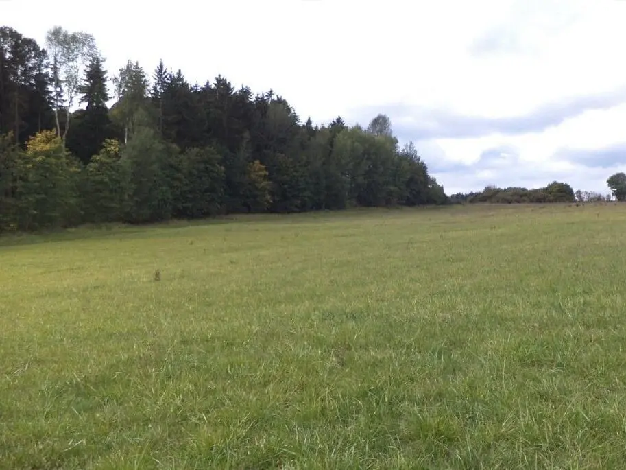 Prodej pozemku 5912 m², Tachov