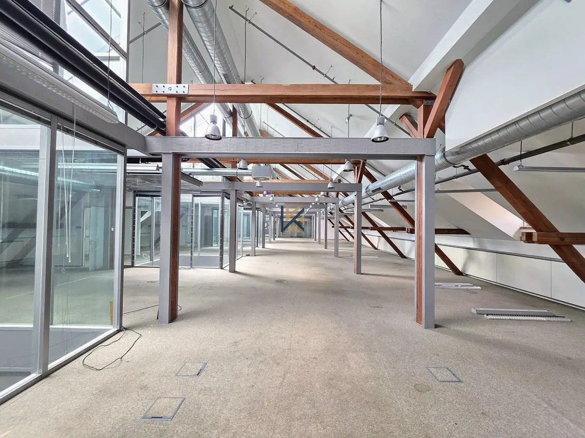 Pronájem komerčního prostoru 1400 m², U průhonu · Holešovice