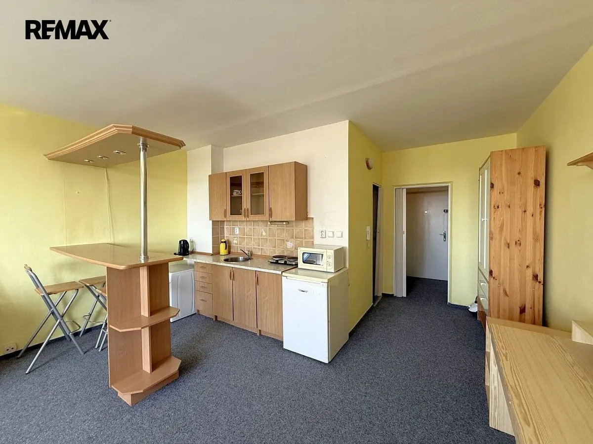 Pronájem bytu 1+kk 35 m², Lábkova · Skvrňany · Plzeň