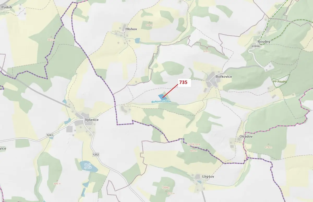 Prodej pozemku 6963 m², Bořkovice · Zvěstov
