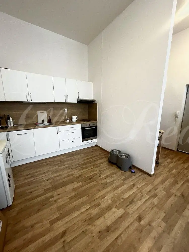 Pronájem bytu 2+kk 60 m², Zábrdovice · Brno