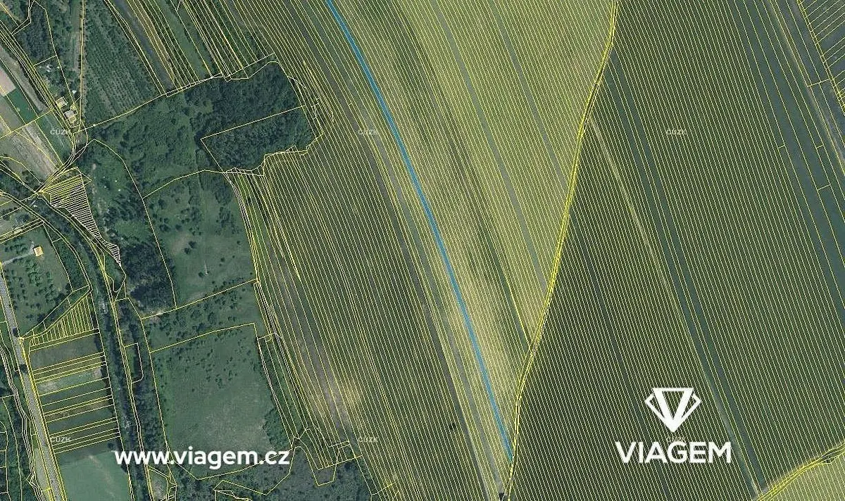 Prodej pozemku 4850 m², Velká nad Veličkou · okres Hodonín