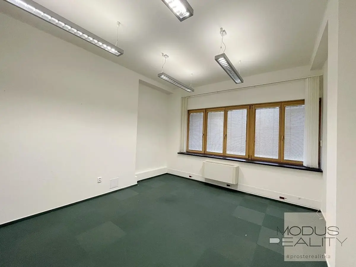 Pronájem komerčního prostoru 20 m², U Rajské zahrady · Žižkov