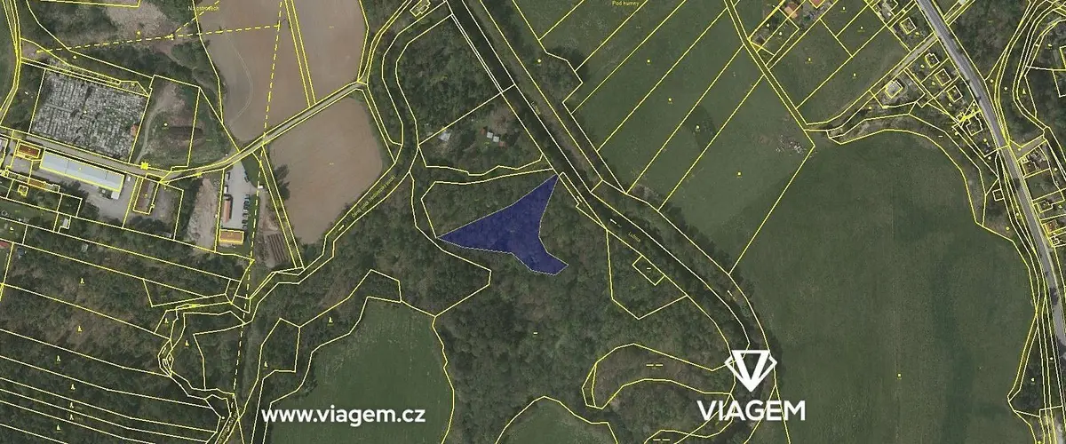 Prodej pozemku 4248 m², Dvory nad Lužnicí