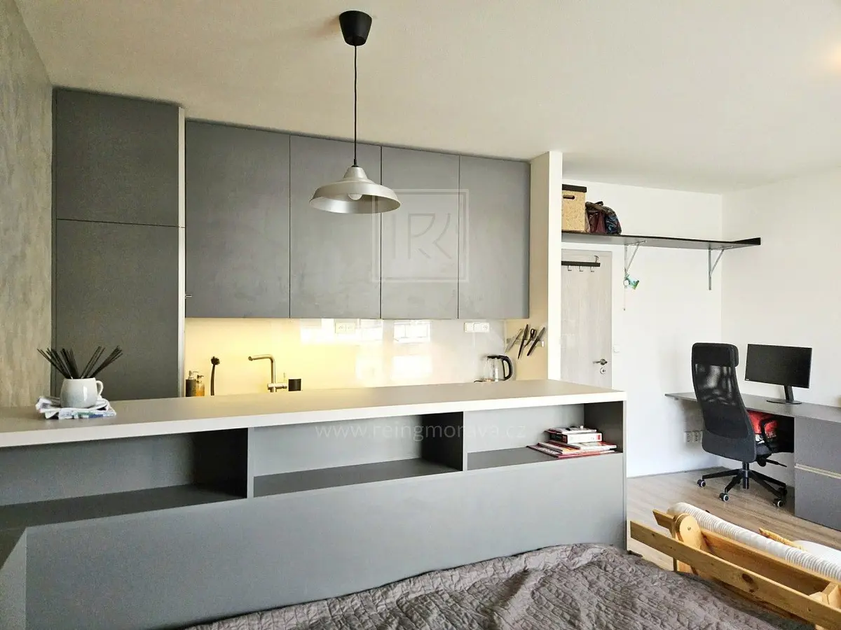 Pronájem bytu 1+kk 35 m², Vranovská · Zábrdovice · Brno
