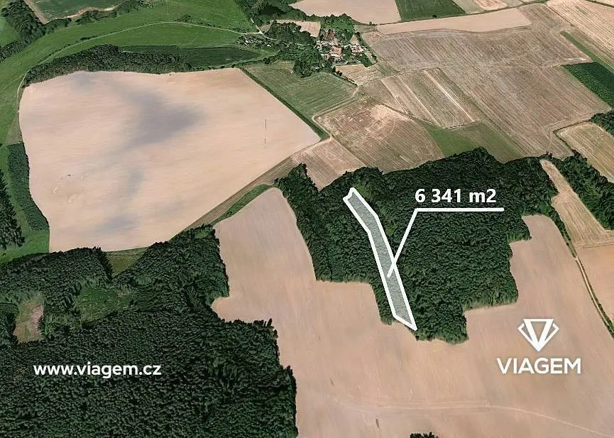 Prodej domu 2021 m², Koloveč