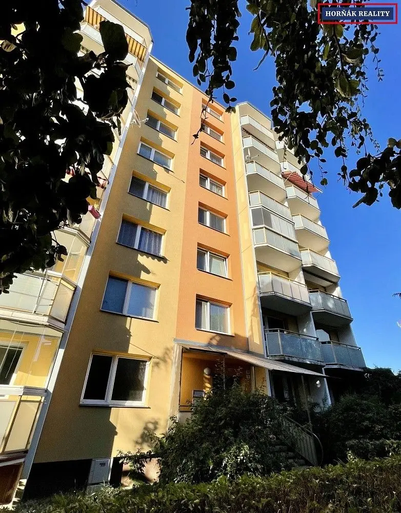 Prodej bytu 2+1 51 m², Puškinova · Vyškov