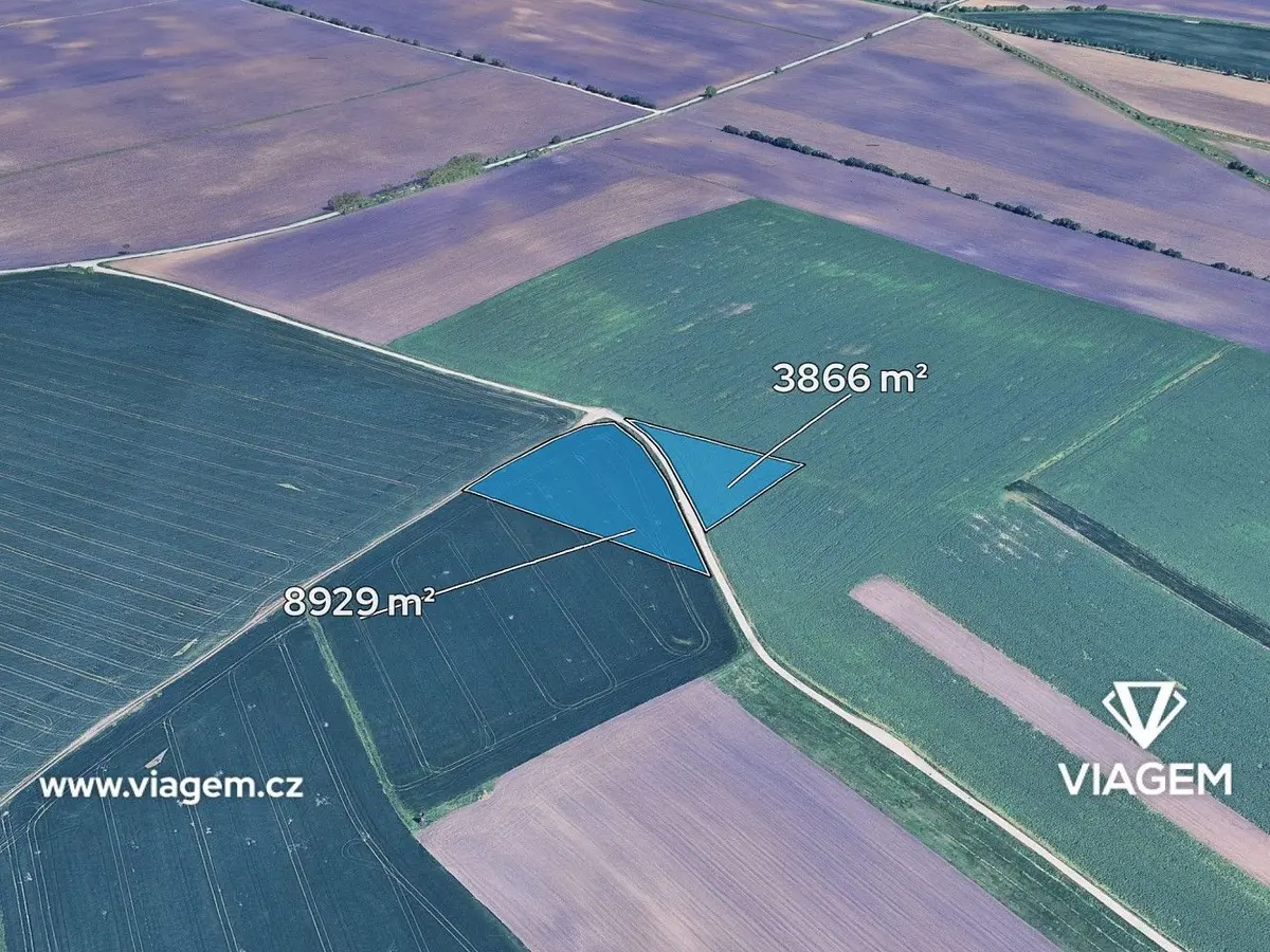 Prodej pozemku 2132 m², Velké Němčice