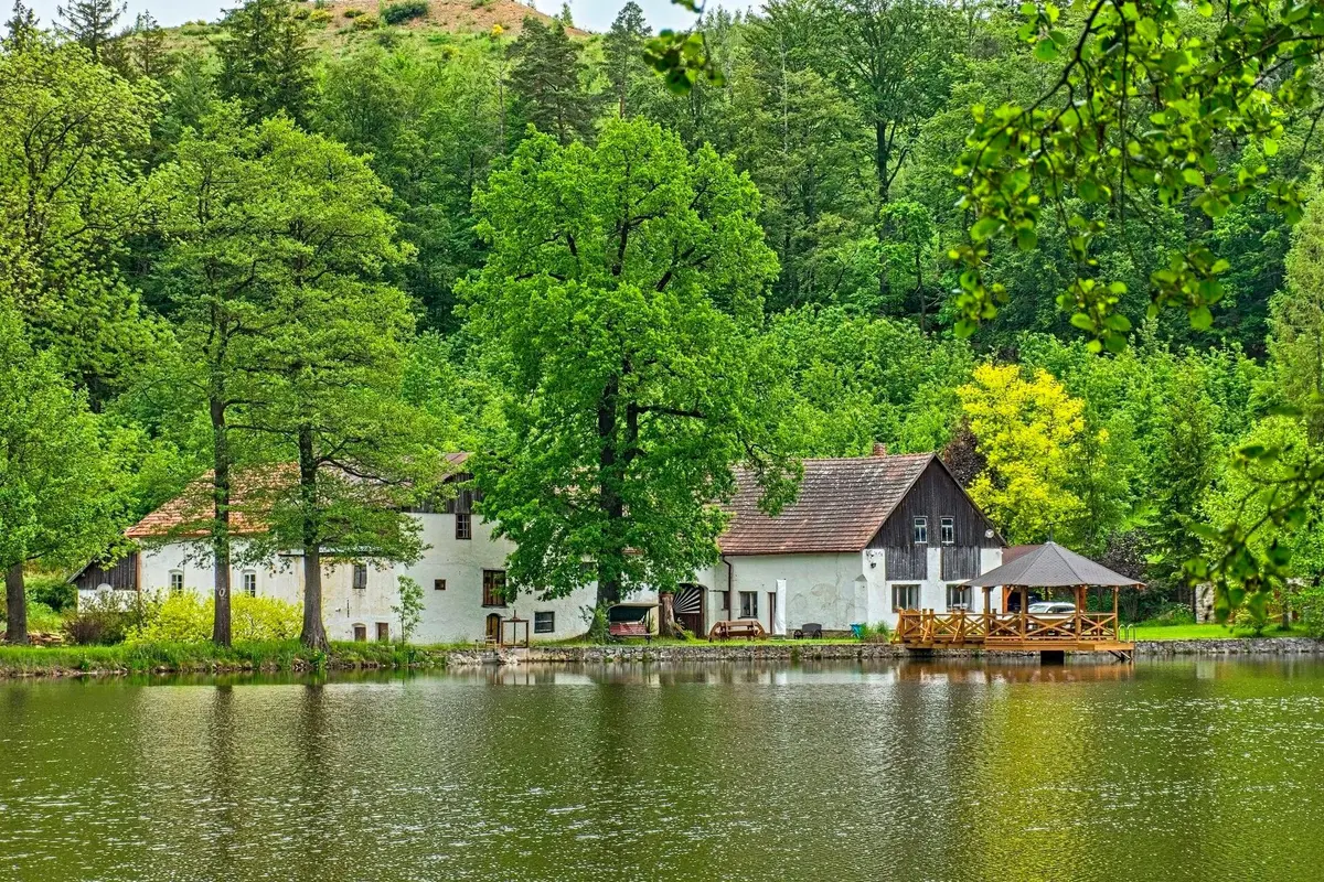 Prodej nemovitosti 83424 m², Radňov · Pelhřimov