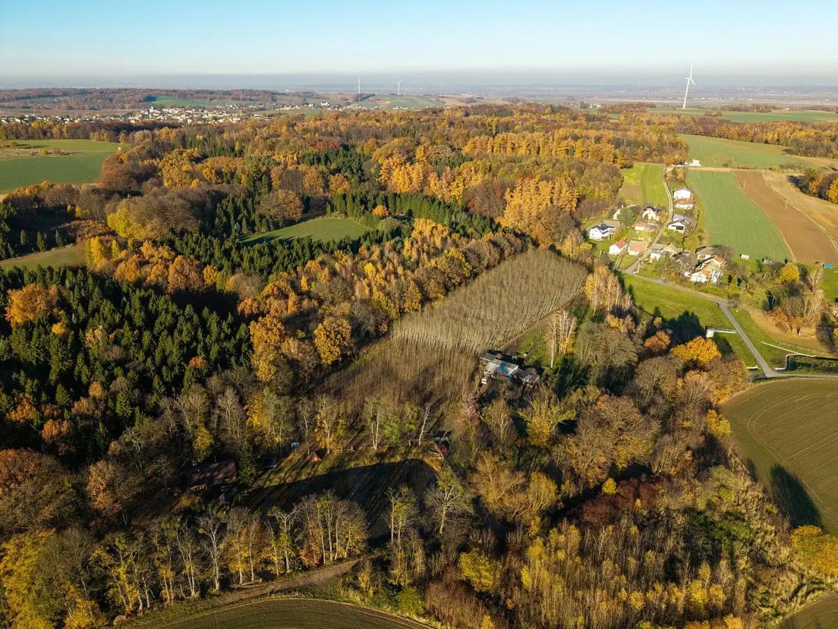 Pronájem pozemku 22800 m², Markvartovice