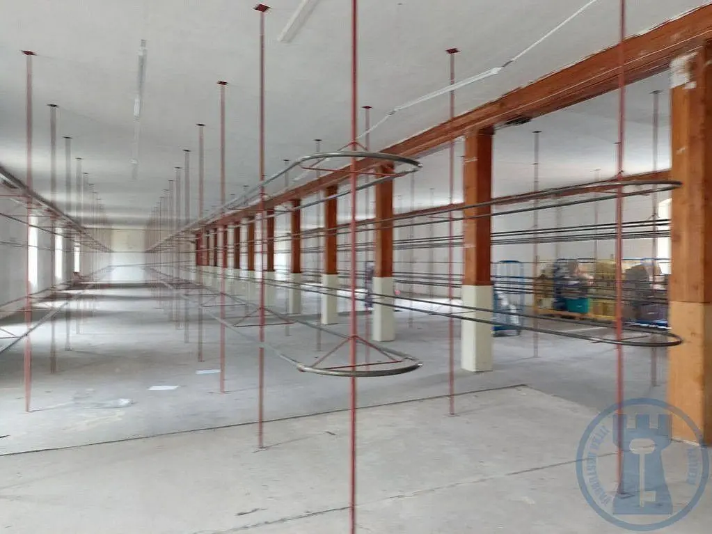 Pronájem komerčního prostoru 550 m², Hlubčická · Krnov-Horní Předměstí · Krnov