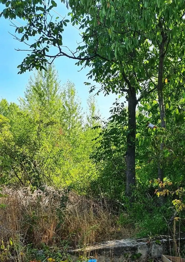 Prodej pozemku 4178 m², Přízřenice · Brno