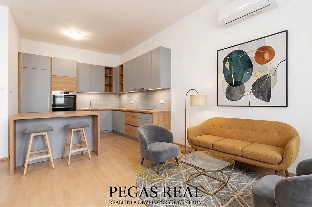 Prodej bytu 1+kk 40 m², Bělohorská · Židenice · Brno