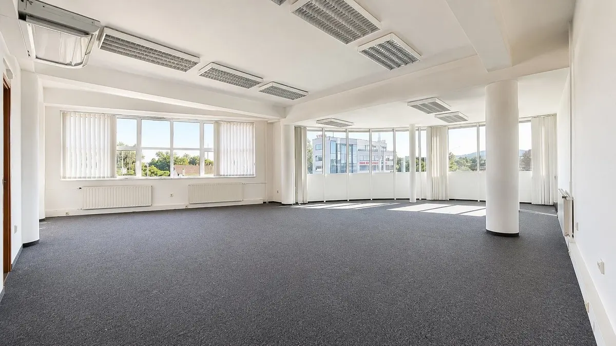 Pronájem komerčního prostoru 163 m², Olomoucká · Černovice · Brno