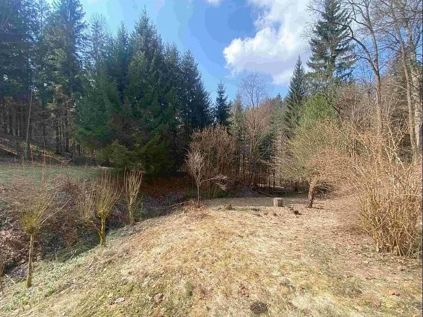 Prodej pozemku 858 m², Rokytnice v Orlických horách